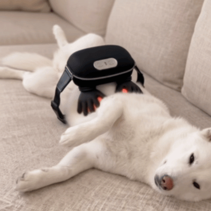 HandyPaws™ - Pet Massager