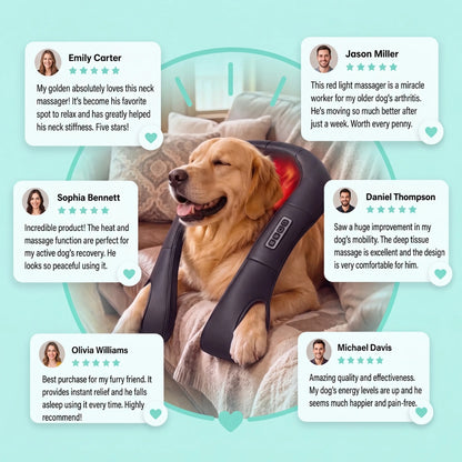 HandyPaws™ - Pet Massager